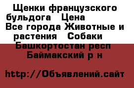 Щенки французского бульдога › Цена ­ 30 000 - Все города Животные и растения » Собаки   . Башкортостан респ.,Баймакский р-н